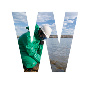 letterW